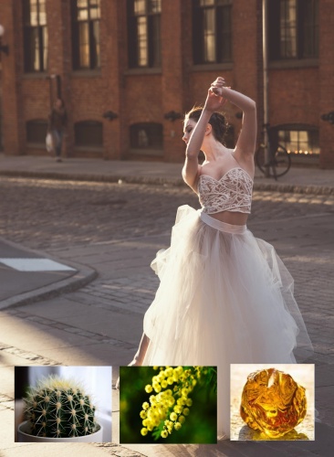 Victoria's Secret nuty zapachowe