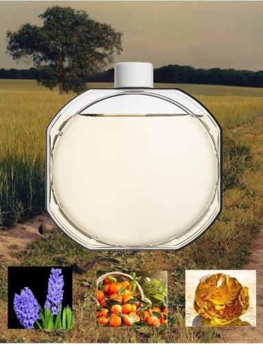 Olejek Zapachowy Aroma Smart Cosmo do dyfuzorów ultradźwiękowych Chanel Chance / Fleur De Lumiere