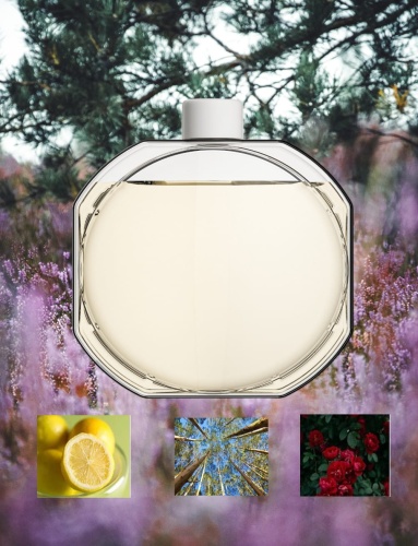 Olejek Zapachowy Aroma Smart Cosmo do dyfuzorów ultradźwiękowych Lawendowy Lavender