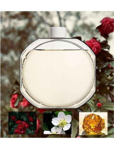 Olejek Zapachowy Aroma Smart Cosmo do dyfuzorów ultradźwiękowych Różany Rose