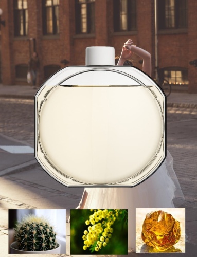 Olejek Zapachowy Aroma Smart Cosmo do dyfuzorów ultradźwiękowych Victoria's Secret.