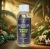 Olejek zapachowy aroma smart Tropikalna jungla 50ml